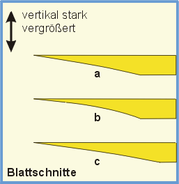 Saxophon Blattschnitte