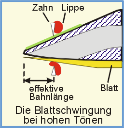 Sax Blattschwingung hohe Tne